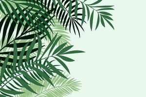 Background with palm leaves in green tones. Summer frame with space for text. vector
