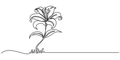 Lily flower Continuous one line drawing illustration vector