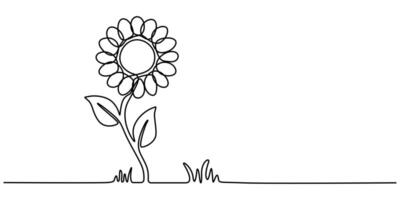 continuous one line art drawing of sunflower vector