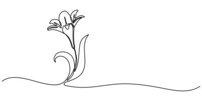 abstract lily flower continuous one line art drawing sketch vector
