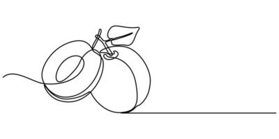 Plum fruit continuous one line art drawing vector