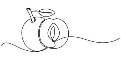 Plum fruit in continuous one line art drawing style minimalist black line sketch vector