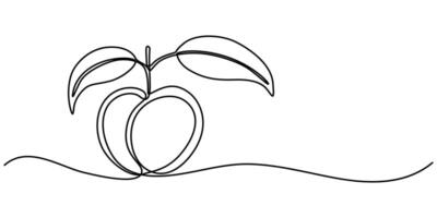 Plum fruits continuous one line drawing isolated vector