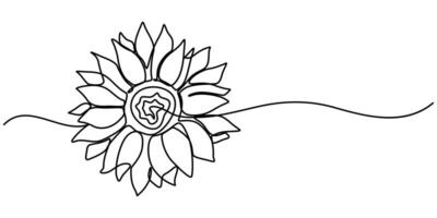 One line sunflower element black and white monochrome continuous single line art vector