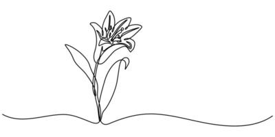 Lily Continuous One Line Drawing with Editable Stroke vector