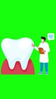 Dentist Talks About Protecting Teeth On Greenscreen Background On Vertical 2D Cartoon Animation video