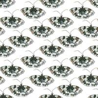 Seamless watercolor pattern. Insects, butterflies black and white hand-drawn with watercolor and isolated on a white background. Suitable for printing on fabric, paper, stationery and scrapbooking vector