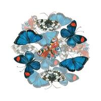 Round composition of butterflies of different colors, Peacock eye, Morpho, bright blue, black and white butterflies. All objects are hand-drawn with watercolors. Suitable for printing, design vector