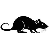 A black rat on a white background vector