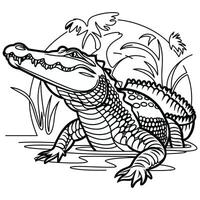 Alligator coloring pages vector