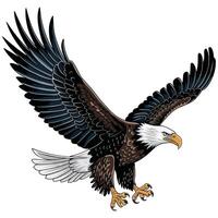 An eagle flying with its wings spread out vector