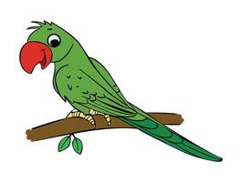 A parrot is sitting on the branch vector