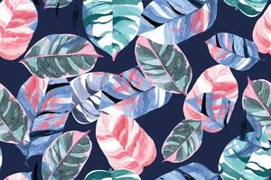 Seamless pattern of leaves paint and Ficus elastica with watercolo.For designing fabric patterns and wallpaper.Tropical botanical forest background.Leaves overlap in natural pattern. vector