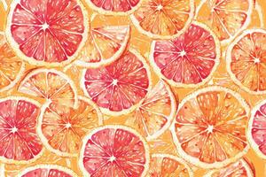 Seamless citrus.Seamless pattern of tangerines with watercolor.Designed for fabric luxurious and wallpaper, vintage style.Fruit orange background.Mandarin pattern. vector