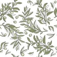 Seamless pattern featuring hand drawn olive branches with green leaves and fruits on a white background The botanical design is perfect for textiles packaging wallpapers and branding. illustration vector