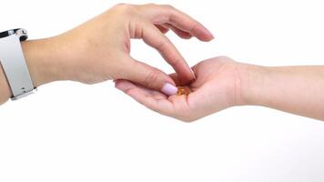 Hand receiving capsule dropped in slow motion with white background video