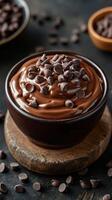 Decadent chocolate mousse topped with dark chocolate chips served in a rustic bowl photo