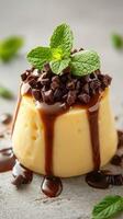 Delicious vanilla pudding topped with chocolate chips and mint leaves on a textured background photo