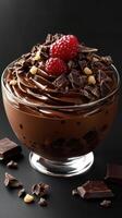 Decadent chocolate mousse topped with fresh raspberries and crushed nuts presented in an elegant glass dish photo