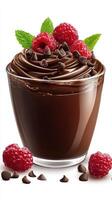 Decadent chocolate mousse with fresh raspberries and mint leaves presented in a glass photo