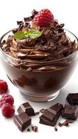Delicious chocolate mousse topped with fresh raspberries and mint in a clear bowl photo