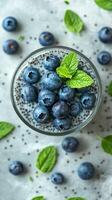 Healthy chia seed pudding topped with fresh blueberries and mint leaves in a clear glass cup photo