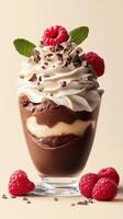 Indulgent chocolate dessert topped with whipped cream, raspberries, and chocolate shavings served in a glass photo