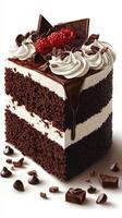 Decadent chocolate cake topped with whipped cream and fresh raspberries in a bright setting photo
