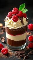 Indulgent dessert with layers of chocolate, cream, and fresh raspberries presented in a glass photo