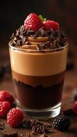 Decadent dessert featuring layers of chocolate cream topped with fresh raspberries in a glass photo