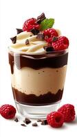 Delicious dessert with layers of chocolate, cream, and fresh raspberries served in a glass dessert dish photo