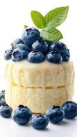 Creamy dessert topped with fresh blueberries and a mint leaf creating a delightful treat for summer gatherings photo