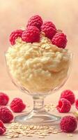 Delicious bowl of creamy dessert topped with fresh raspberries and oats in soft lighting photo