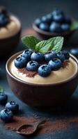 Delicious dessert with creamy topping and fresh blueberries served in dark bowls photo