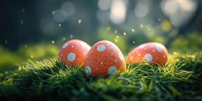 Colorful polka dot eggs nestled in lush green grass during a bright spring day photo
