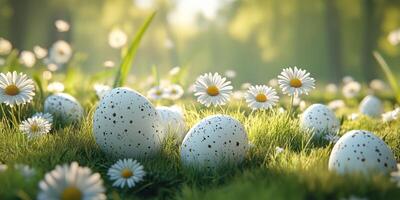 Decorative eggs placed among blooming daisies in a sunlit meadow during springtime photo
