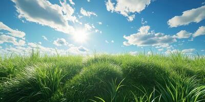 Sunlight cast over lush green grass with bright blue sky and fluffy clouds during a serene afternoon photo