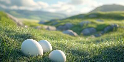 Natural scene featuring three white eggs resting on lush grass in a serene landscape during daylight photo