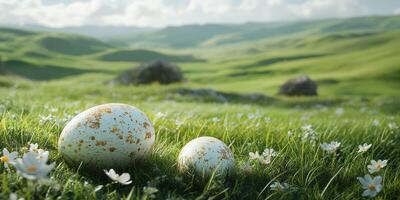 Large and small speckled eggs resting on a vibrant green meadow surrounded by wildflowers in a serene landscape photo