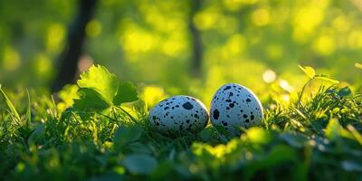 Colorful speckled eggs resting on green grass under soft sunlight in a vibrant natural setting photo