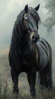 Majestic black horse standing elegantly in a foggy field at dawn, showcasing its thick mane and strong physique photo