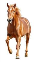 Majestic horse galloping gracefully against a plain background in bright lighting photo