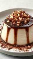 Creamy dessert topped with chocolate sauce and crushed nuts served on a plate photo