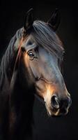 Majestic black horse with flowing mane gazes into the distance under soft light photo