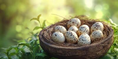 Quail eggs nestled in a natural nest among greenery in a tranquil outdoor setting during daylight photo