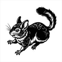 Chinchilla jump in grass silhouette. vector