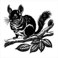 Chinchilla In A Tree vector