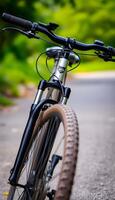 Exploring Nature by Bicycle photo