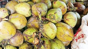 Some fresh coconuts in close-up shot. photo