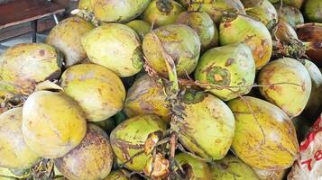 Some fresh young coconuts in close up shot. photo